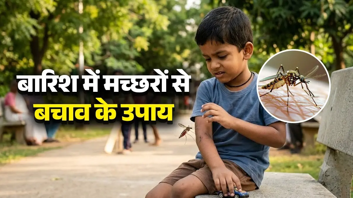 Monsoon Mosquito Diseases: बारिश में बढ़ गया है मच्छरों का आतंक? इन आसान तरीकों से करें बचाव; नहीं रहेगा डेंगू-मलेरिया का खतरा Monsoon Mosquito Diseases
