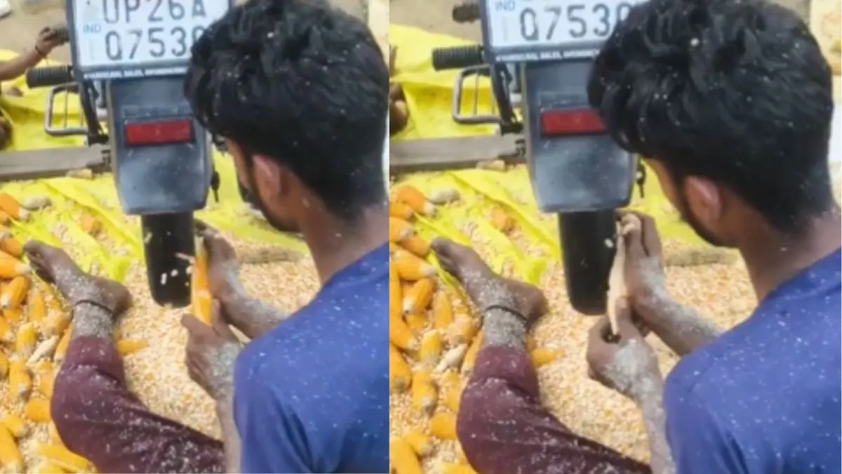 VIRAL VIDEO: ना मशीन की जरूरत, ना घंटों की मेहनत...बाइक के पहिए से मिनटों में छुड़ाया मक्का, लोग बोलें - 'इसे कहते हैं इंडियन दिमाग' No need for machines or hours of hard work... corn kernels removed from the cob in minutes using a bike wheel people say india is not for beginners