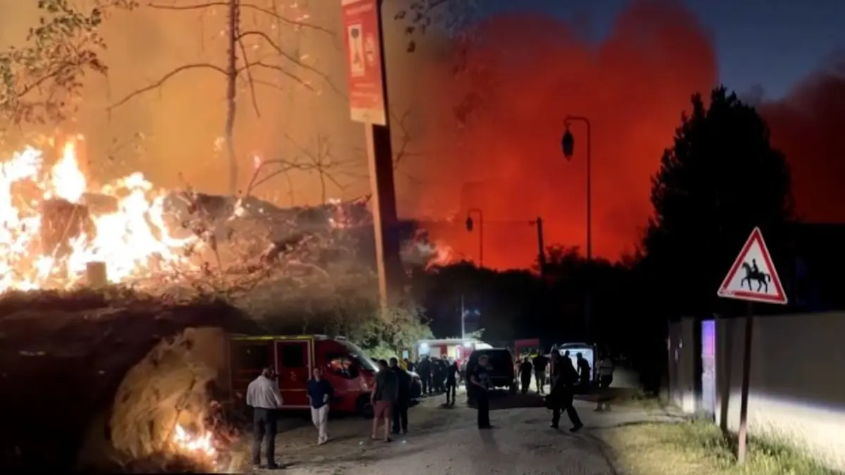 Massive Fire in Historic Fontainebleau Forest Near Paris Burns 2000 Acres of Land, Arson Suspected Paris Forest Fire
