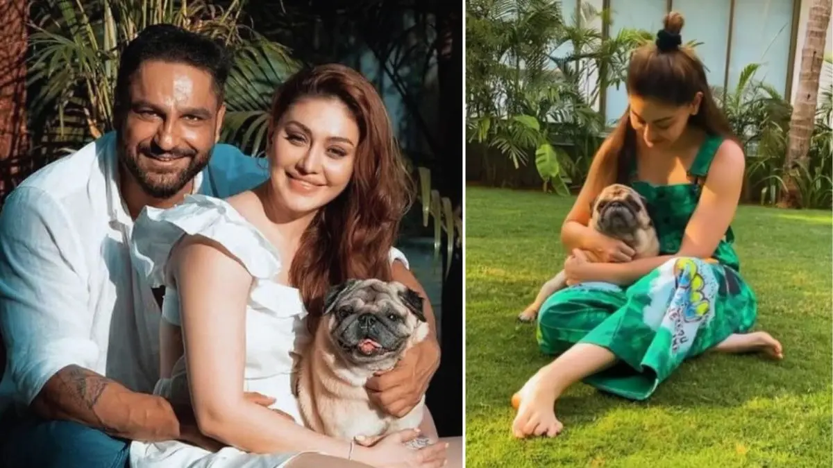 'अब मम्मा अकेली नहीं हैं...' Shefali Jariwala के डॉग 'सिम्बा' का निधन, Parag Tyagi ने शेयर किया भावुक पोस्ट; VIDEO Shefali Jariwala And Parag Tyagi