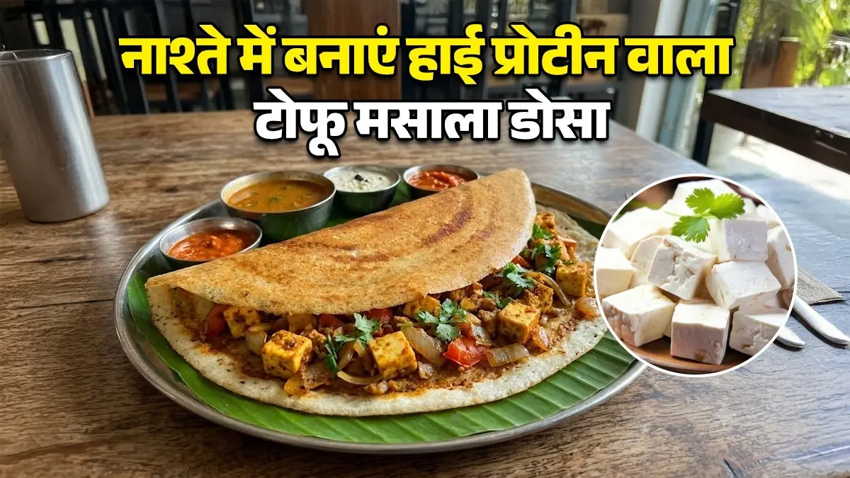 Tofu Masala Dosa Recipe: नाश्ते में सिंपल आलू नहीं, ऐसे बनाएं हाई प्रोटीन टोफू मसाला डोसा, सेहत के साथ स्वाद से भी नहीं होगा कोम्प्रोमाइज tofu masala dosa recipe for healthy breakfast recipe high protein rich south Indian dish