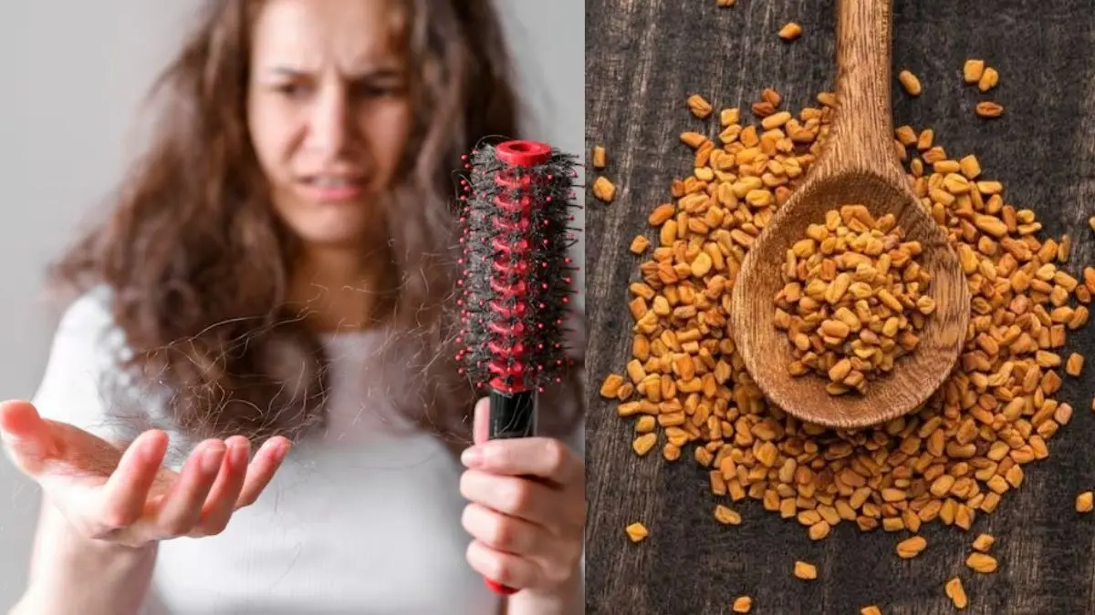 HairFall: झड़ते बालों से हैं परेशान तो मेथी में मिलाकर लगाएं ये 4 चीजें, 2 हफ्ते में दिखेगा असर Troubled by hair fall Mix these 4 ingredients with fenugreek and apply the mixture you will see results in 2 weeks