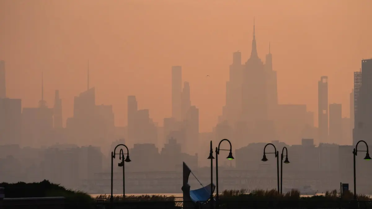 Uncertainty Clouds the Forecast on Whether Wildfire Smoke Will Affect the World Cup Final Uncertainty Clouds the Forecast on Whether Wildfire Smoke Will Affect the World Cup Final