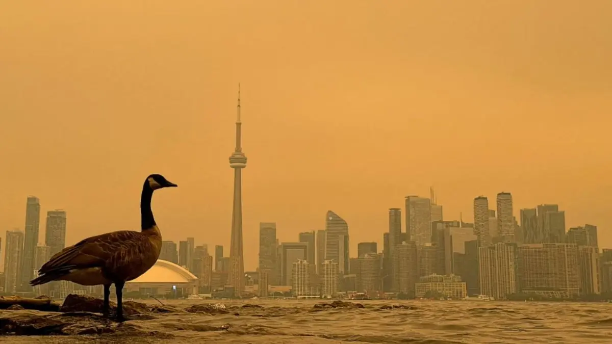 In Pics: Toronto Draped in Orange Haze as Wildfire Smoke Chokes the City Wildfire Smoke Blankets Toronto Skyline
