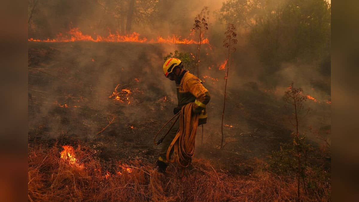 Wildfires in France Drive 250,000 People From Their Homes and Creep Toward Wine City of Bordeaux