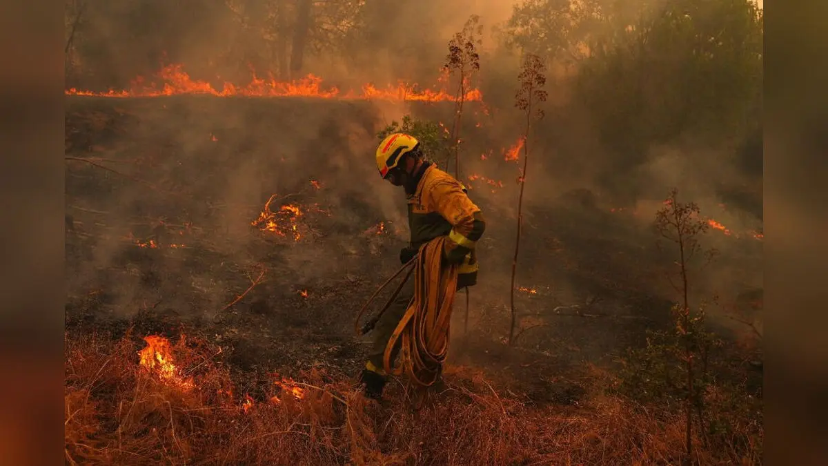 Wildfires in France Drive 250,000 People From Their Homes and Creep Toward Wine City of Bordeaux Wildfires in France Drive 250,000 People From Their Homes and Creep Toward Wine City of Bordeaux