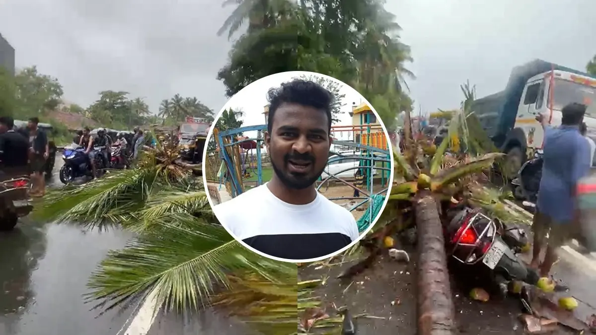 Mumbai Monsoon Peril: Two Days After Chembur Tragedy, Motorist Dies After Coconut Tree Falls on Him In Bhayandar X