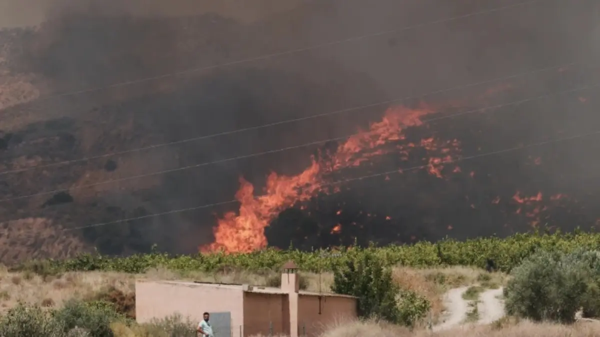 'Death Trap': At Least 12 Dead, 23 Missing As Fast-Moving Wildfire Sweeps Through Southern Spain X