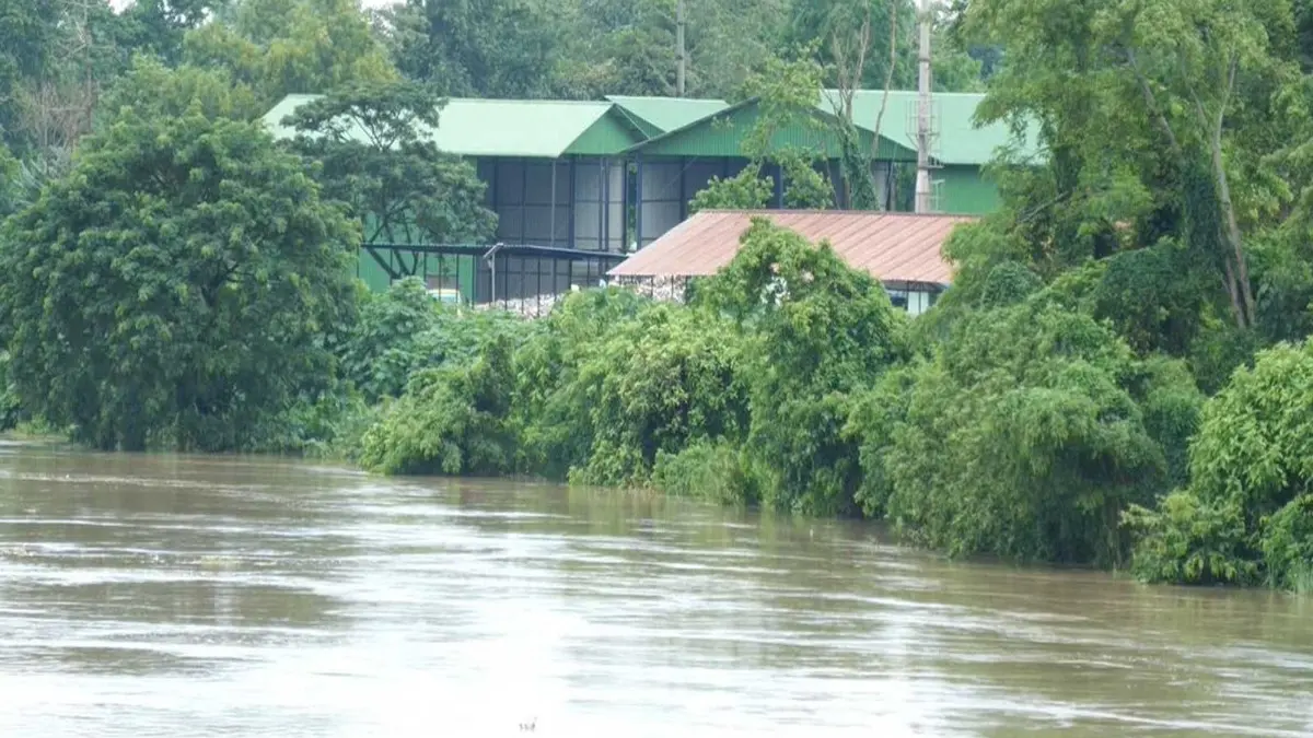 Assam Floods: Death Toll Rises to 98 as State Battles Severe Deluge Assam Floods: Death Toll Rises to 98 as State Battles Severe Deluge