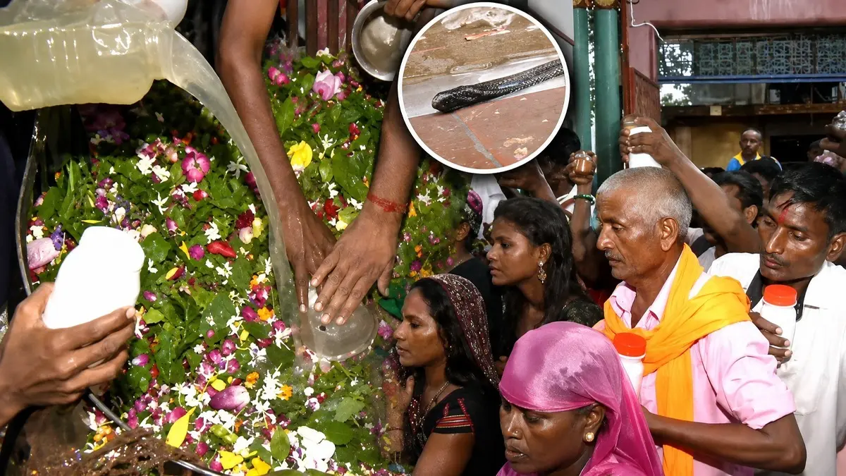 सावन के तीसरे सोमवार पर शिवमय हुई रामनगरी, नागपंचमी पर नागेश्वरनाथ मंदिर में जलाभिषेक के लिए उमड़ा श्रद्धालुओं का सैलाब; सुरक्षा के पुख्ता इंतजाम Ayodhya Nageshwarnath Temple Jalabhishek on nagpunchmi