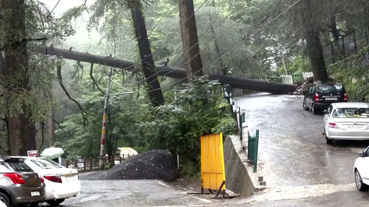 Himachal Monsoon Fury: Death Toll Hits 250 in 61 Days; 64 Roads Blocked, 225 Power Transformer Regions Disrupted Himachal Monsoon Fury: Death Toll Hits 250 in 61 Days; 64 Roads Blocked, 225 Power Transformer Regions Disrupted
