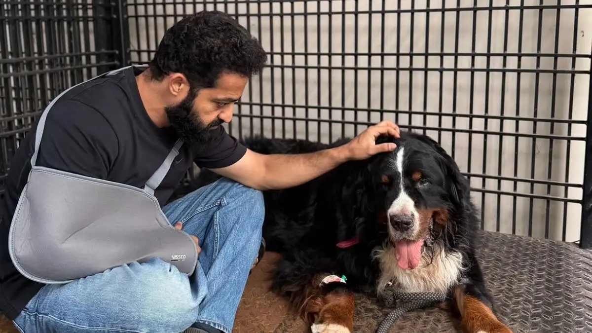 Jr NTR Mourns The Death Of His Furry Pet Bagheera, Pens Heartfelt Note: Your Absence Leaves A Silence Jr NTR Mourns The Death Of His Furry Pet Bagheera