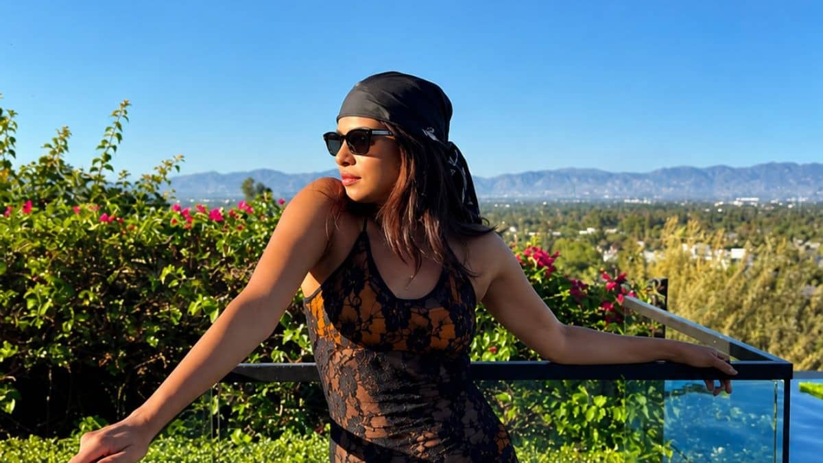 'कोई दादी बनी, तो कोई 25 साल के लड़के को डेट कर रही...', Priyanka Chopra का वायरल हुआ फनी पोस्ट, 40 की उम्र का दिया रियलिटी चेक