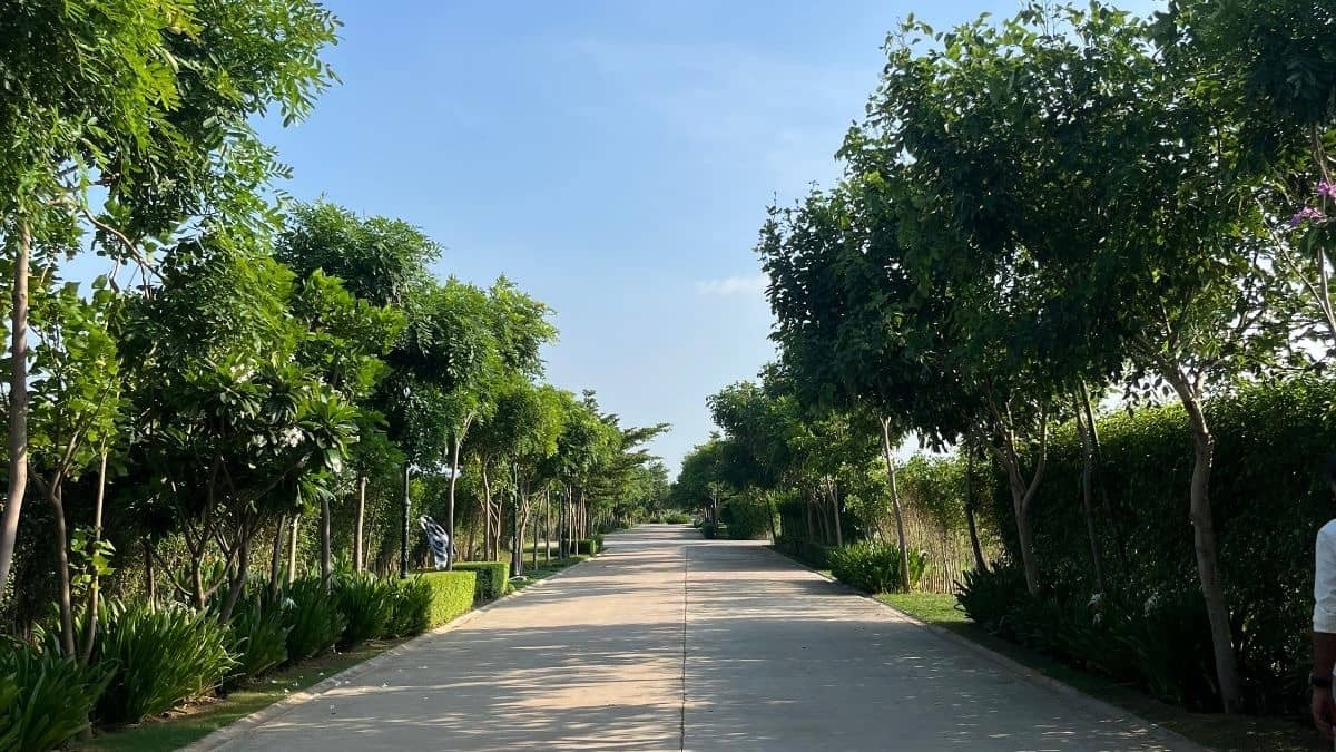 Living With Nature, Not Around It