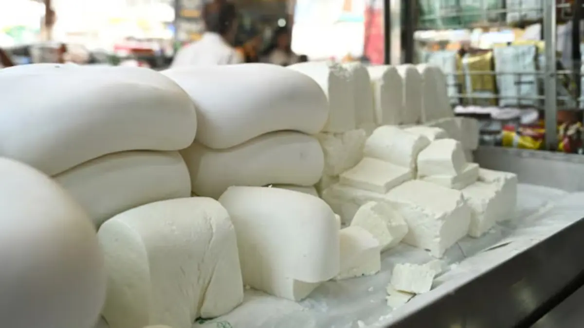 NHRC Seeks Answers From FSSAI on 'Analogue Paneer', Asks States for Clarification Over Its Sale, Manufacture NHRC Seeks Answers From FSSAI on 'Analogue Paneer', Asks States for Clarification Over Its Sale, Manufacture