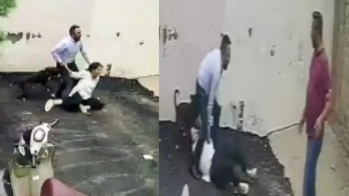 Pitbull Attacks Patiala Couple While Viewing Rental Home, Woman Undergoes Plastic Surgery Pitbull Attacks Patiala Couple While Viewing Rental Home, Woman Undergoes Plastic Surgery