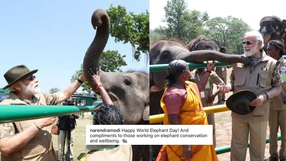 World Elephant Day: PM मोदी ने हाथी को खिलाया गन्ना... Insta पास्ट के जरिए दिया खास संदेश, बोले- संरक्षण और भलाई के लिए काम करने वालों को बधाई PM मोदी ने हाथी को खिलाया गन्ना... Insta पास्ट के जरिए दिया खास संदेश