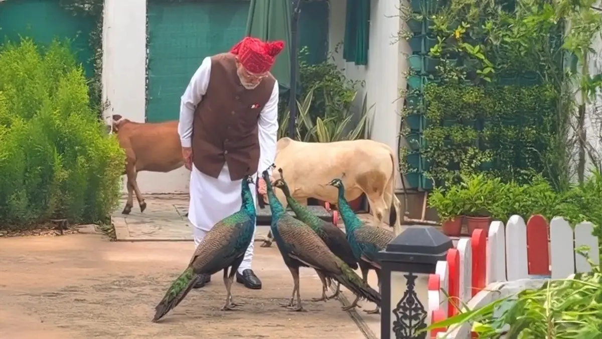 'They Came to Meet Me': PM Modi Shares Heartwarming Pre-Independence Day Moment with 'Friends' 'They Came to Meet Me': PM Modi Shares Heartwarming Pre-Independence Day Moment with 'Friends'