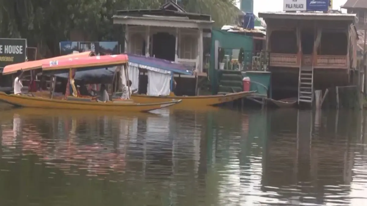 Tourists Soak In Srinagar's Scenic Beauty During Shikara Rides On Dal Lake Tourists Soak In Srinagar's Scenic Beauty During Shikara Rides