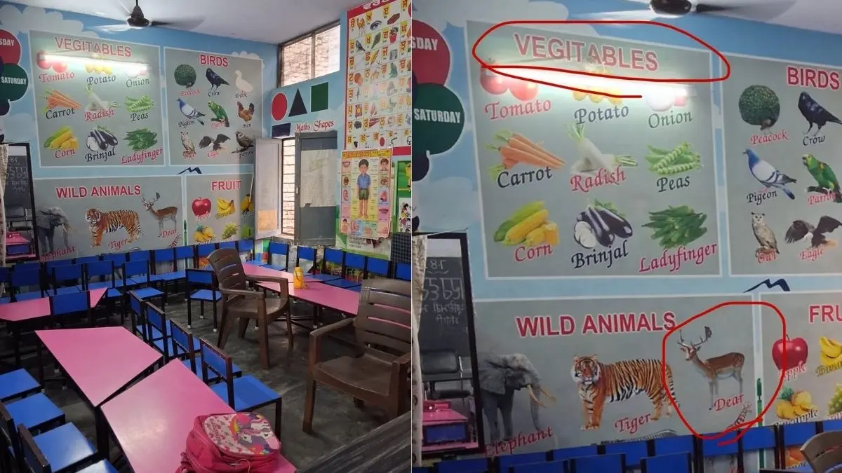 ‘Vegitables’ And ‘Dear’: The Bizarre Spelling Errors That Put Punjab’s 'No. 1' Education Claims Under Spotlight ‘Vegitables’ And ‘Dear’: The Bizarre Spelling Errors That Put Punjab’s 'No. 1' Education Claims Under Spotlight
