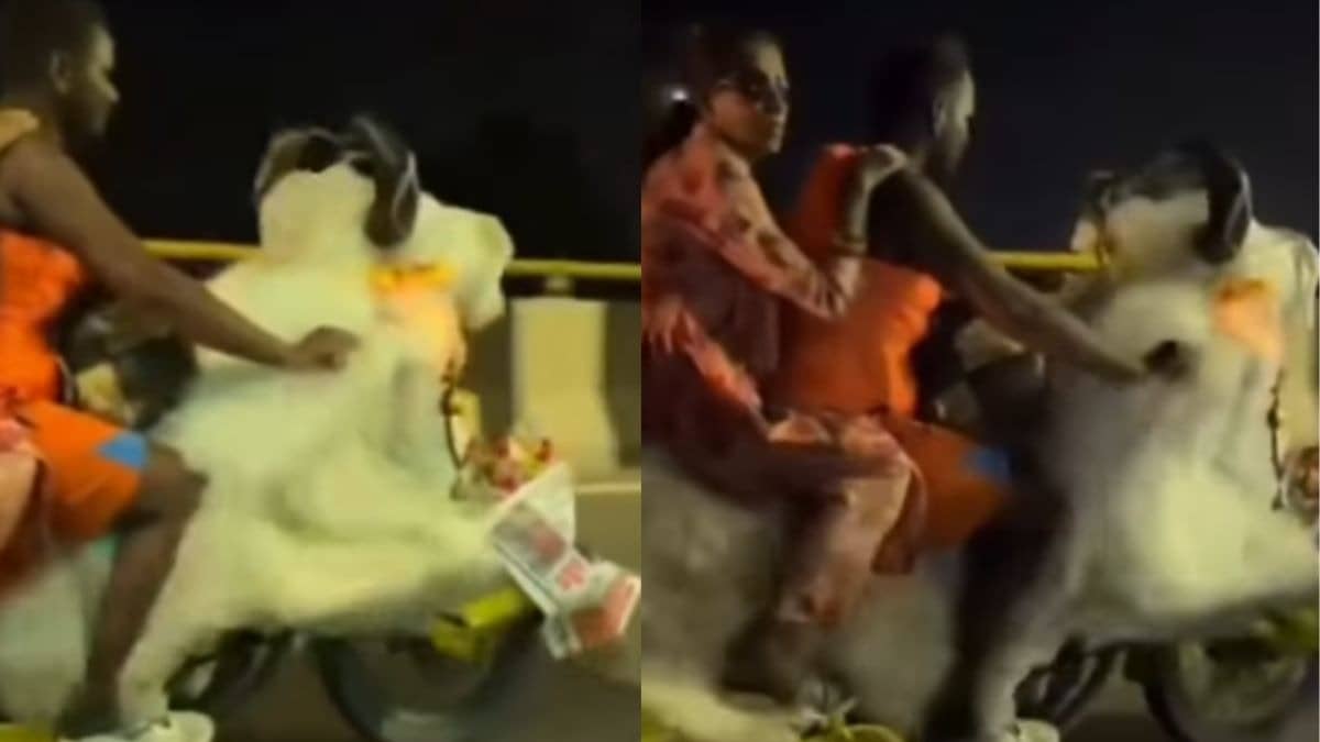 Viral Video