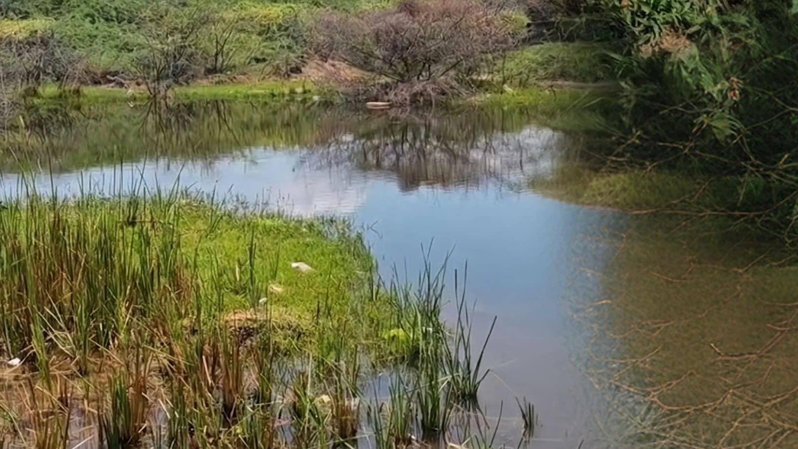 16-Year-Old Boy Found Dead in Madurai Pond, Family Alleges Foul Play