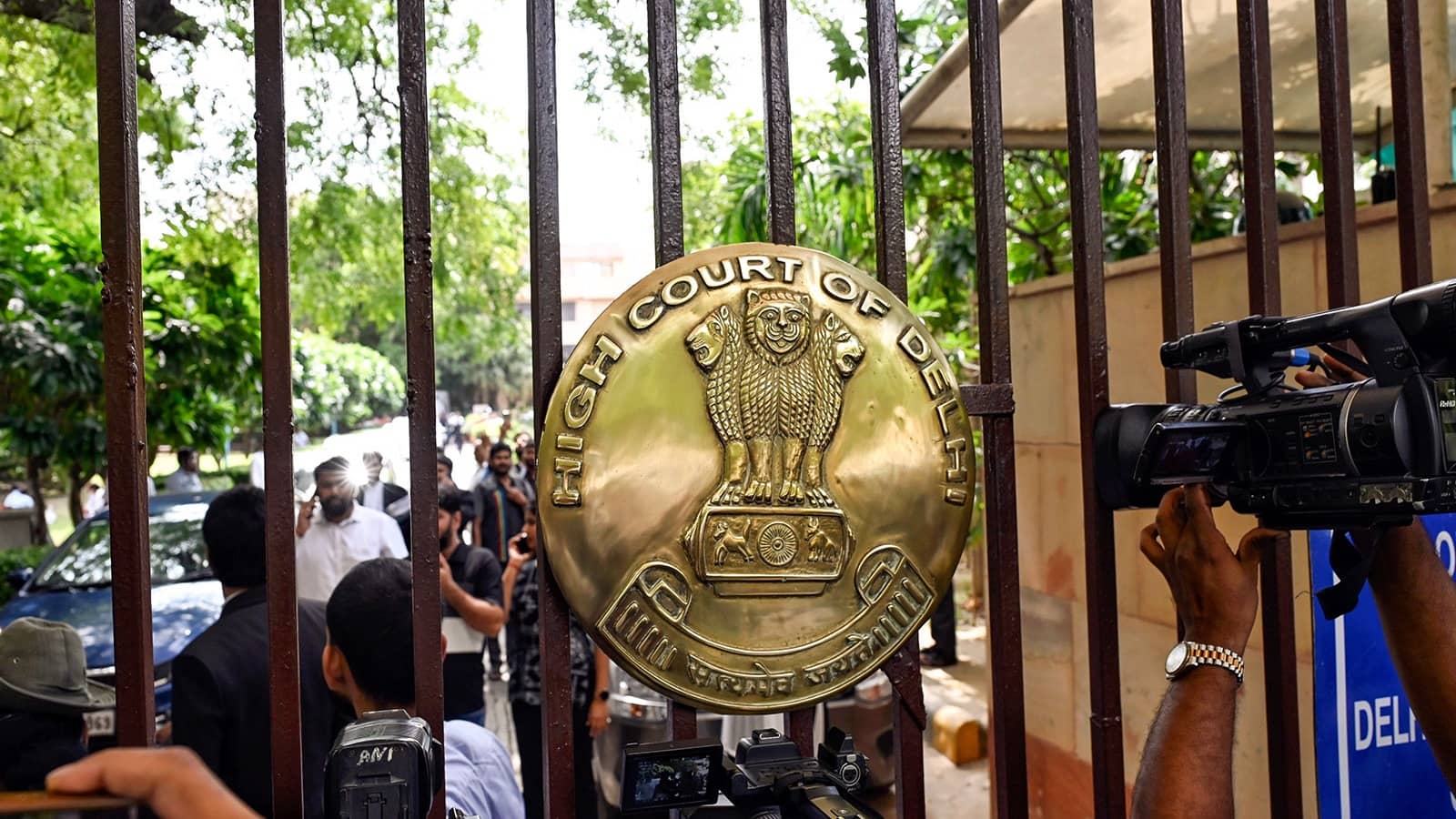 Delhi HC Grants Bail to Man Arrested for Supporting ISIS After 8 Years of Custody, Notes Delay in Trial