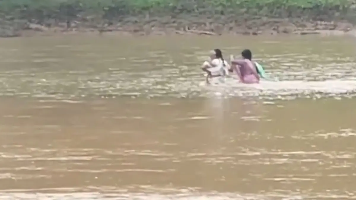 Carrying Infant, Wading Through Swollen River: Chhattisgarh Teachers’ Monsoon Trek To Teach Cut-Off Village | Watch Infant In Arms, River In Way: Chhattisgarh Teachers Brave Monsoon