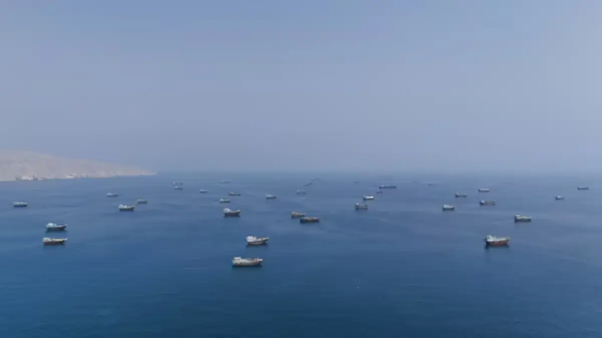 Iran's Hormuz Regulatory Body Blacklists 11 More Vessels Transiting Through Strait Over 'Non-Compliance' Iran's Hormuz Regulatory Body Blacklists 11 More Vessels Transiting Through Strait Over 'Non-Compliance'