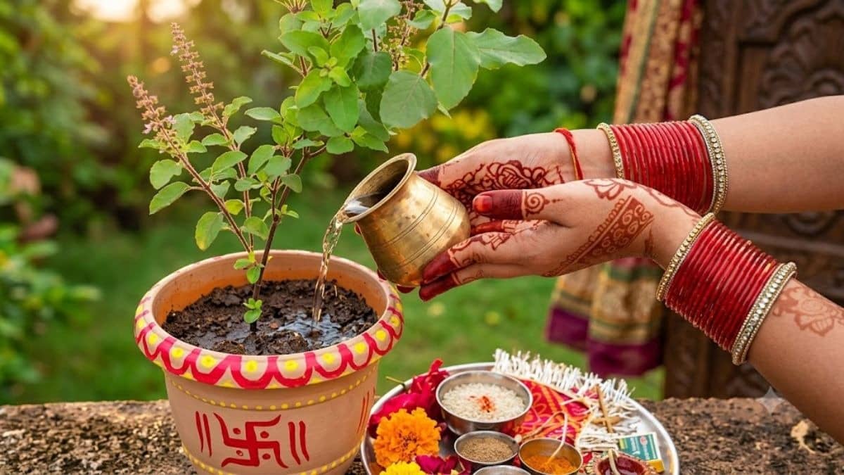 Janmashtami Tulsi Upay: कृष्ण जन्माष्टमी के दिन जरूर करें तुलसी से जुड़े ये उपाय, पैसों की तंगी होगी दूर