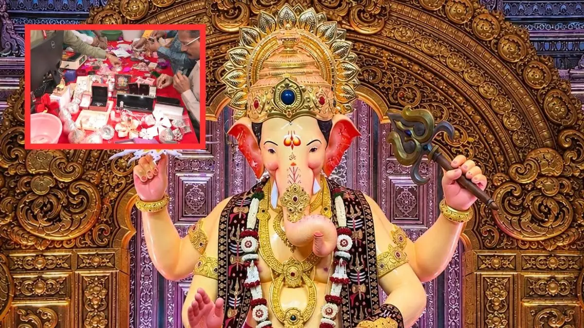 Ganesh Chaturthi 2026: From Gold Chains To Dollars, Lalbaugcha Raja Donation Counting Begins Lalbaugcha Raja Donation Counting Begins