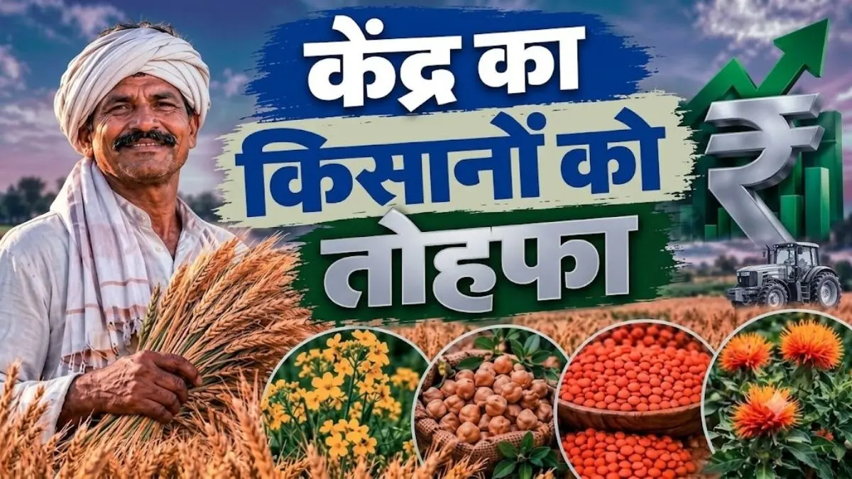 Modi Cabinet Decision: मोदी सरकार ने किसानों को दी खुशखबरी, गेहूं समेत 6 फसलों के MSP में किया इजाफा, देखें LIST MSP for Rabi crops wheat barley gram lentils rapeseed masoor mustard