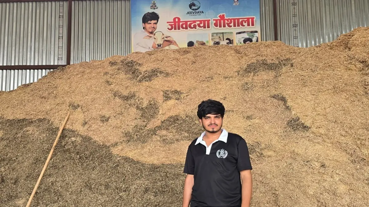 Ronak Choudhary Leads New Wave Of Cow Rescue Through Jeevdaya Foundation Ronak Choudhary Leads New Wave Of Cow Rescue Through Jeevdaya Foundation