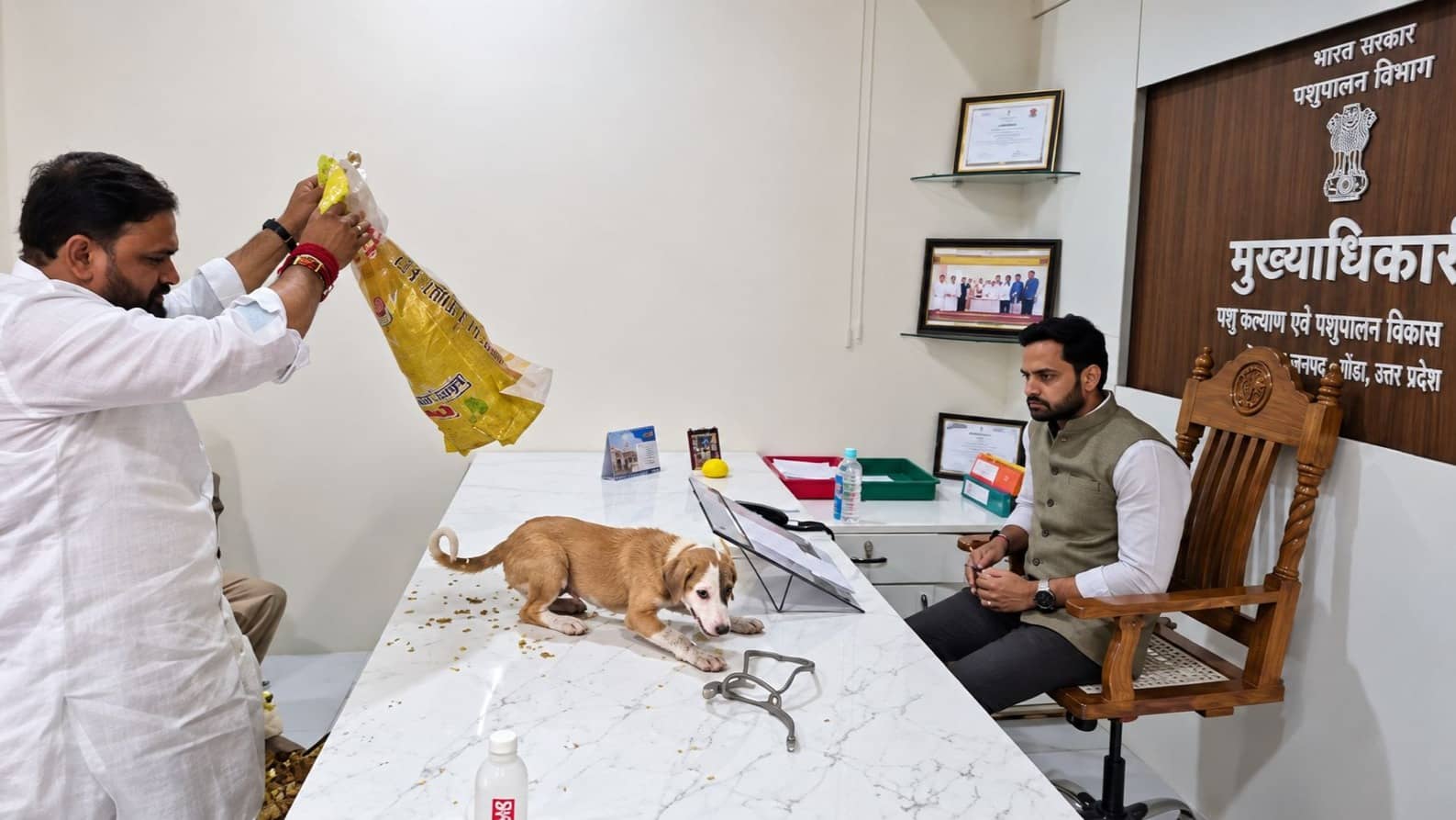 stray dogs released on officer table