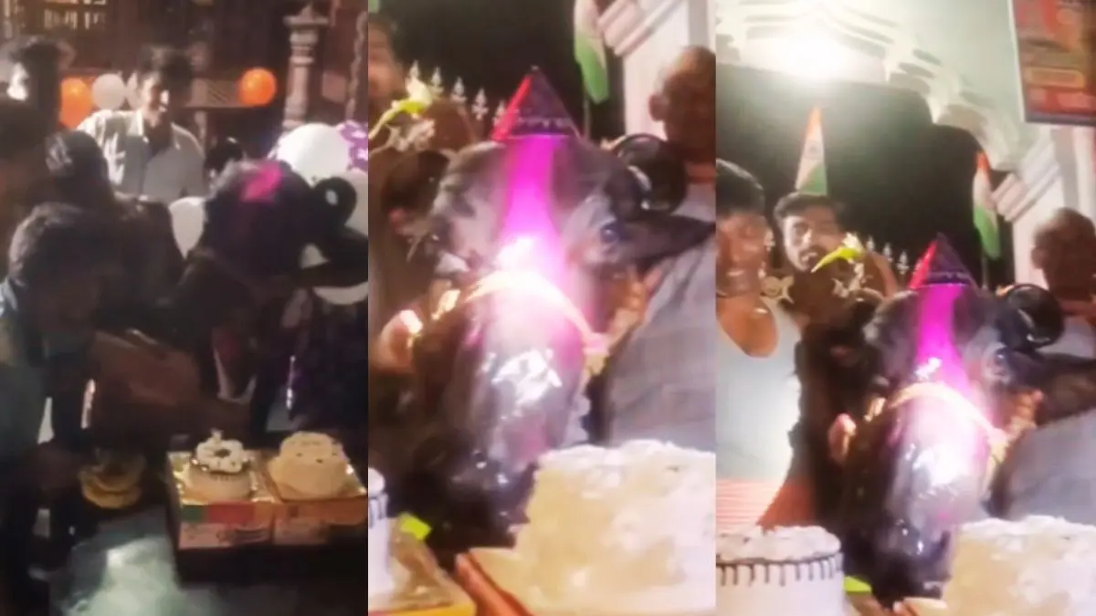 सिर पर बर्थडे कैप, गले में माला और... गांव में धूमधाम से मना 'बसंती' का जन्मदिन, केक कटिंग के बाद खींची फोटोज; VIDEO VIRAL Viral Video