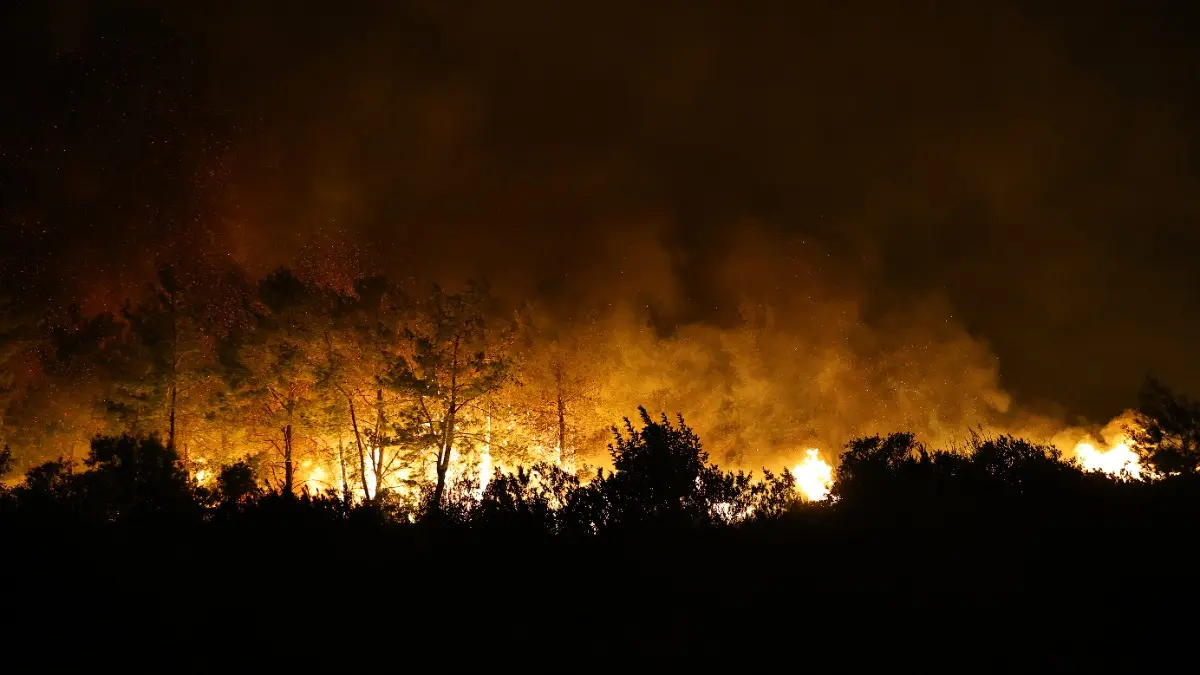 Volunteer Firefighter Dies in Turkey While Tackling Wildfire, 8 Injured Volunteer Firefighter Dies in Turkey While Tackling Wildfire, 8 People Injured