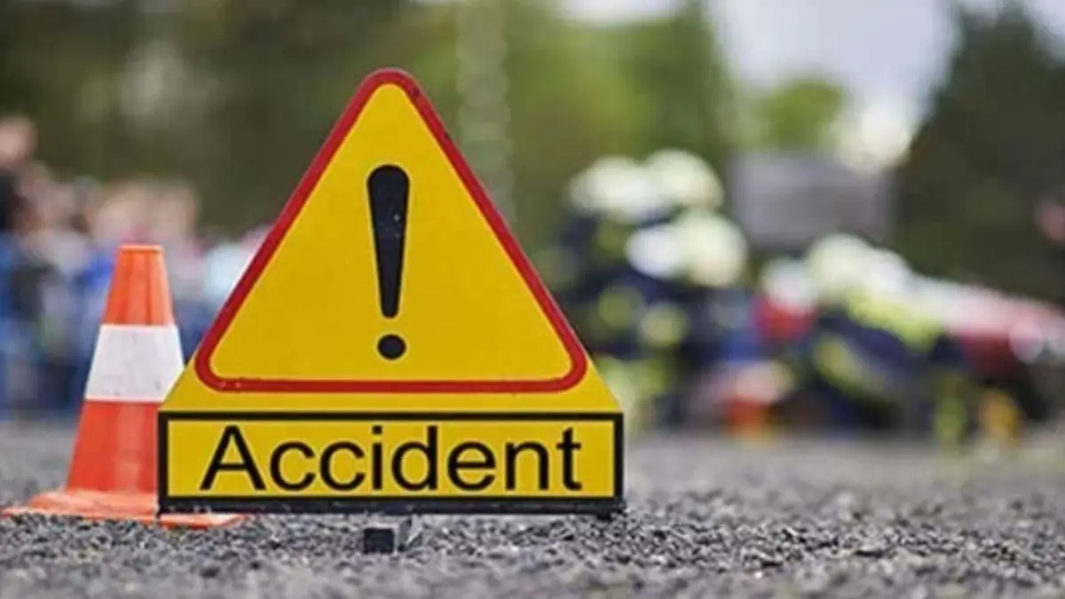 Five People Killed After Van Crashes Into Roadside Tree in UP's Bulandshahr Five People Killed After Van Crashes Into Roadside Tree in UP's Bulandshahr