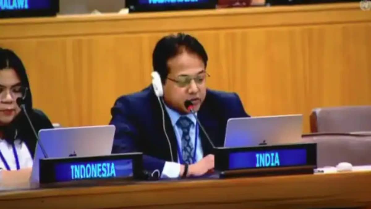 India Urges UN to Probe Pakistani Forces' Killings During PoJK Protests