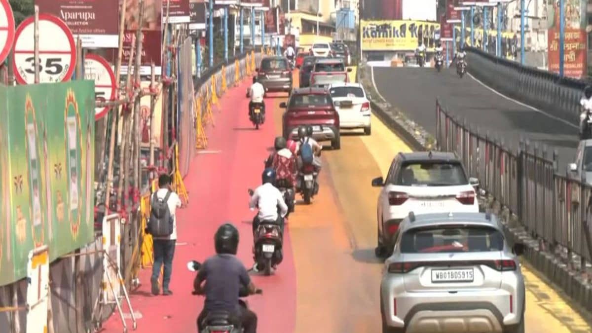  Kolkata's Gariahat Flyover Transformed Into A Colourful Festive Canvas