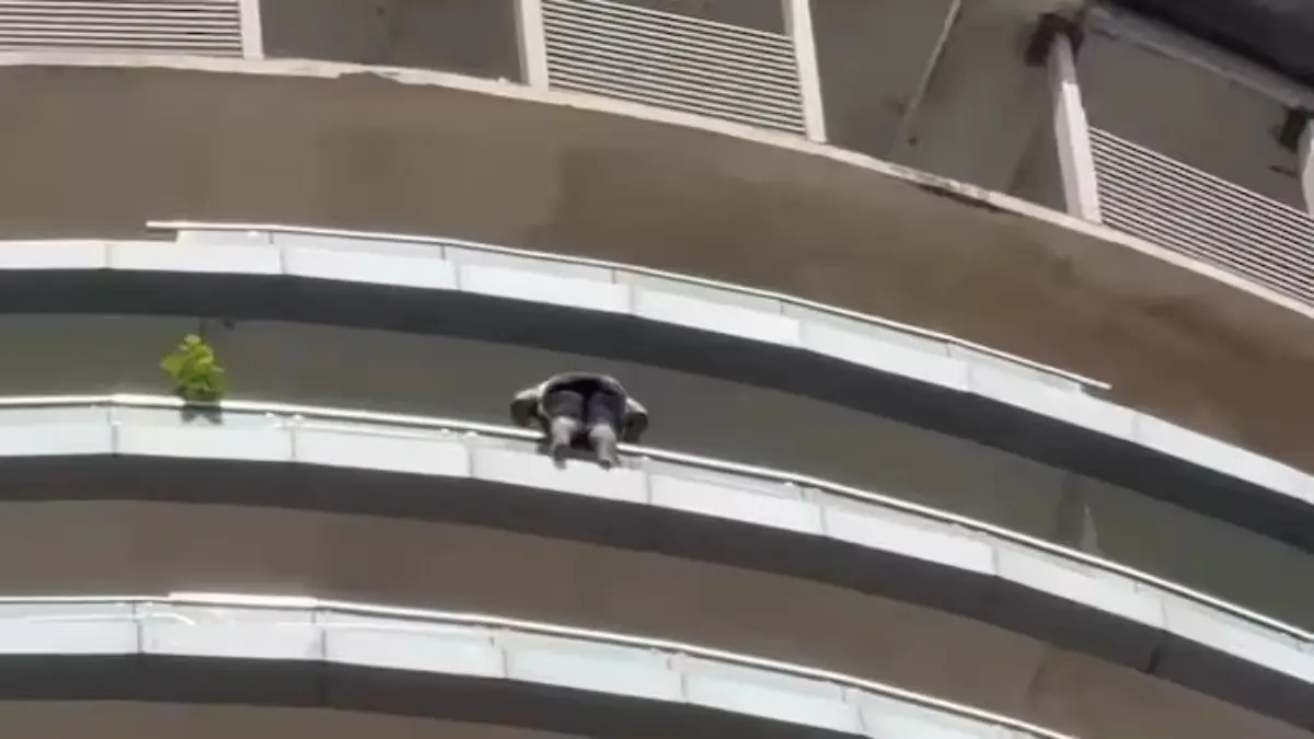 Man Dies By Suicide After Jumping From 43rd Floor Of Noida High-Rise Building, Police Probe Underway Man Dies by Suicide After Fall From 43rd Floor of Noida High-Rise