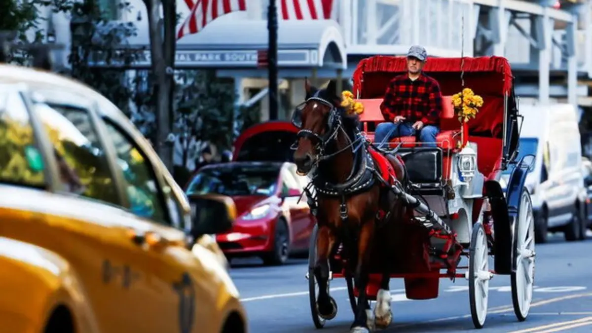 New York City to Ban Horse-Drawn Carriages From June 2028 After Indian Tourist's Death New York Votes to Ban Horse-Drawn Carriages After Indian Tourist's Death
