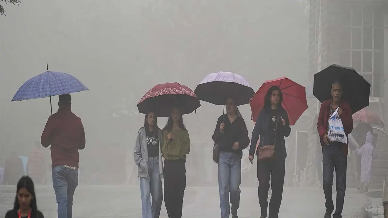 Rain Lashes Kangra as IMD Forecasts Thunderstorms, Widespread Rainfall Across Himachal Pradesh Rain Lashes Kangra as IMD Forecasts Thunderstorms, Widespread Rainfall Across Himachal Pradesh