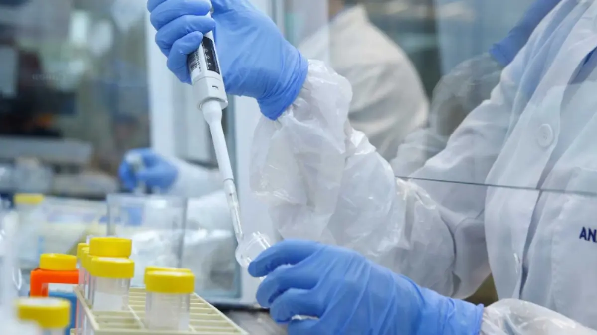 WHO Reports First Human Infection With Shamonda Virus in France; Patient Dies WHO Reports First Human Infection With Shamonda Virus in France; Patient Dies