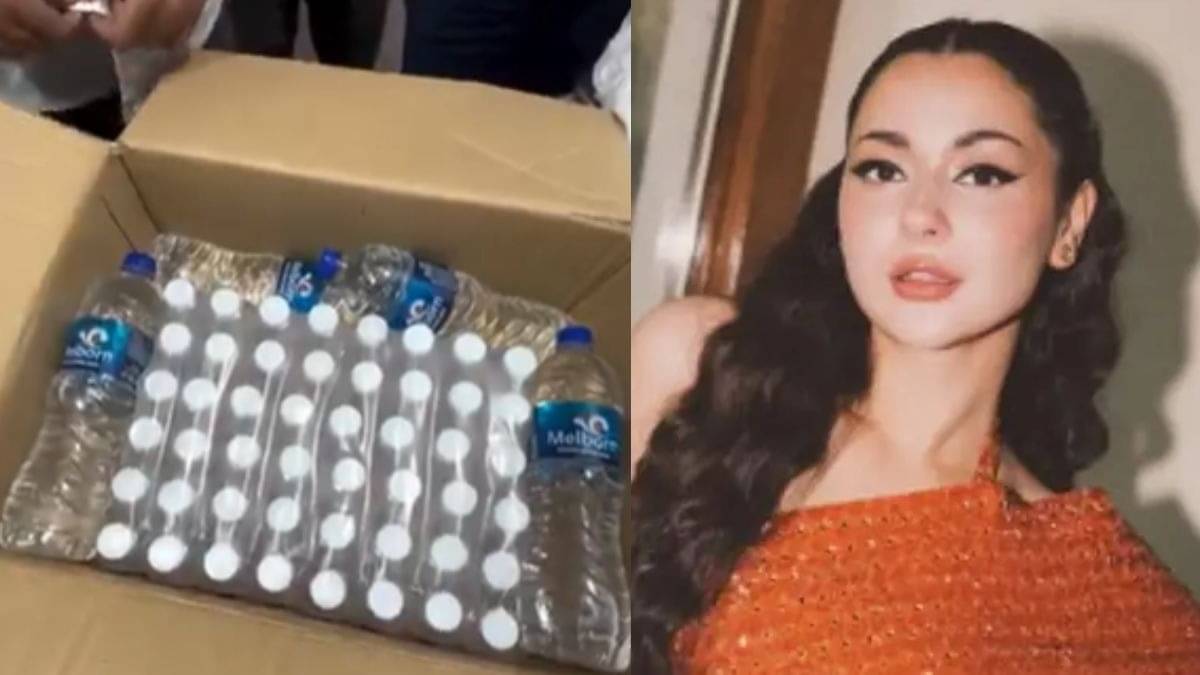 Description of the pic