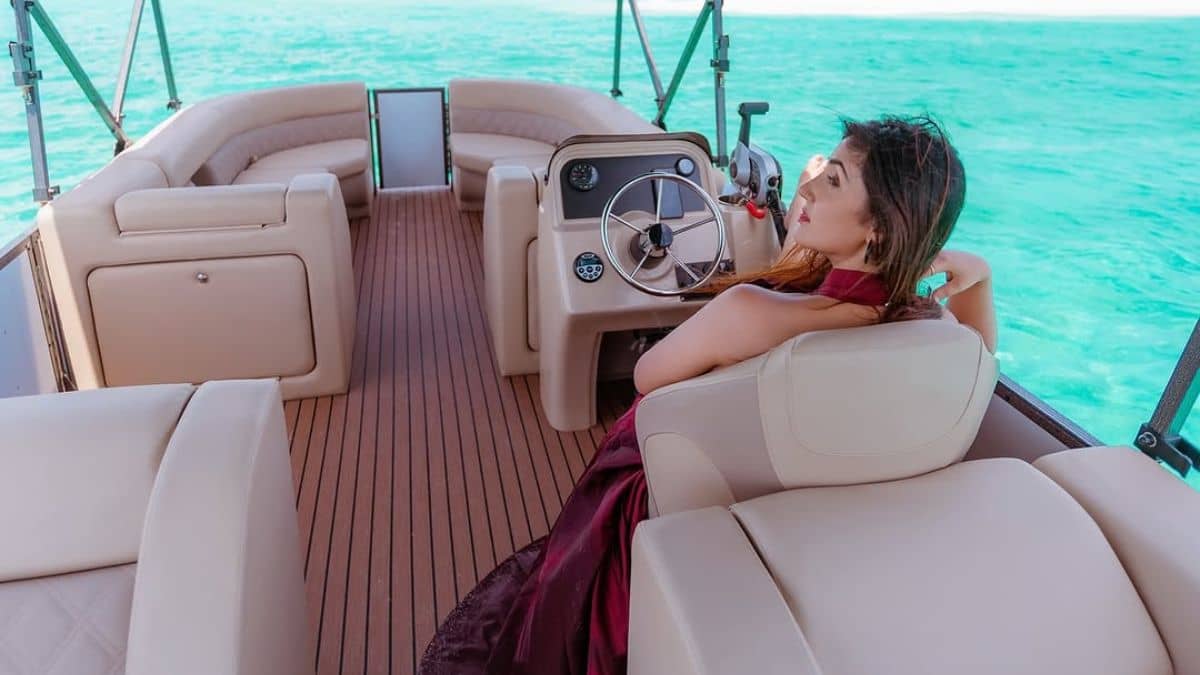 Description of the pic