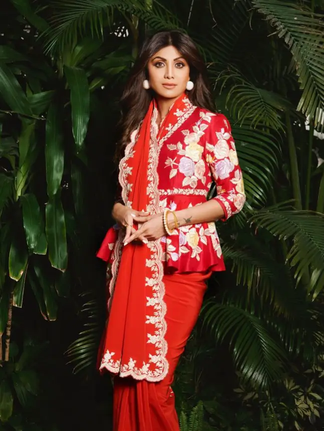 Description of the pic