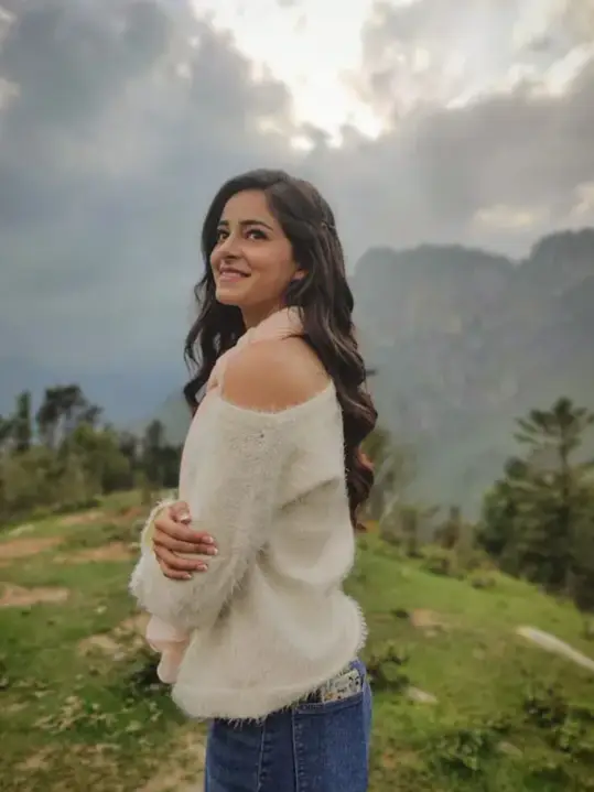 Description of the pic