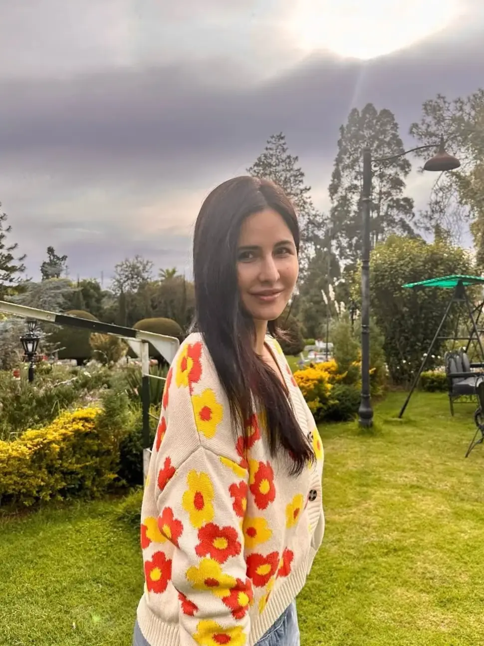 Description of the pic