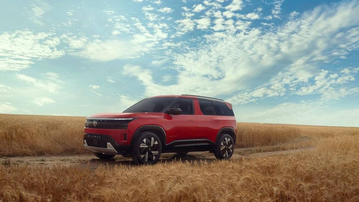 Description of the pic