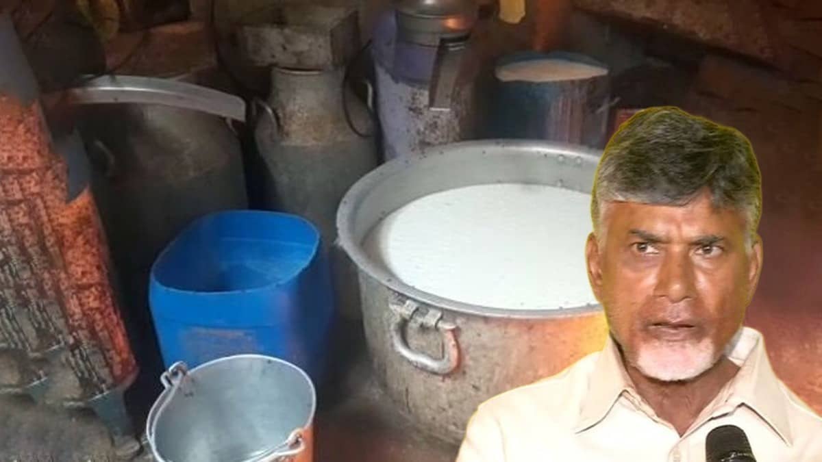 4 Die After Consuming Adulterated Milk in Andhra Pradesh, CM Chandrababu Naidu Announces Rs 10 Lakh Ex-Gratia